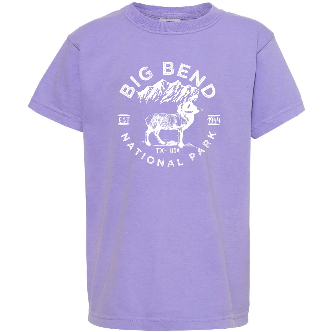 Big Bend National Park Youth Comfort Colors T shirt